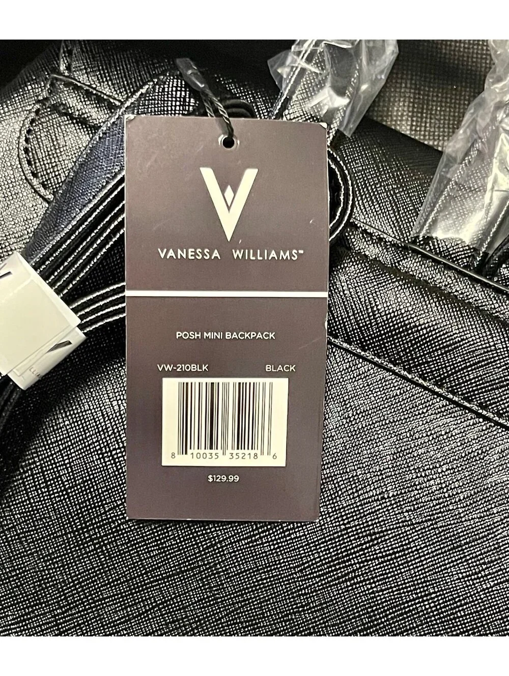 Vanessa Williams purse